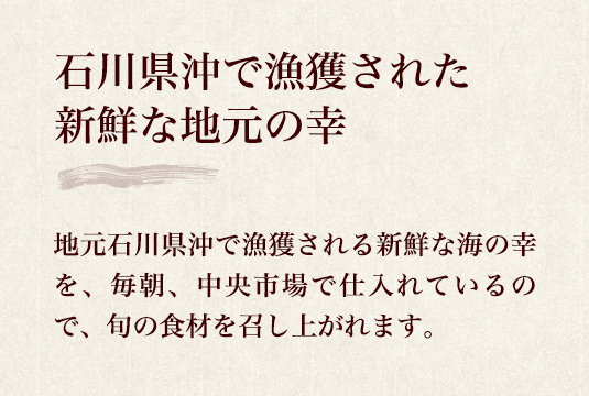 石川県沖で漁獲された新鮮な地元の幸 地元石川県沖で漁獲される新鮮な海の幸を、毎朝、中央市場で仕入れているので、旬の食材を召し上がれます。